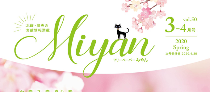 Miyan最新号