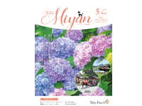 Miyan（みやん）vol75